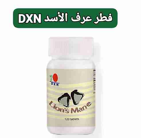 فطر عرف الاسد DXN صديق الجهاز الهضمي والعصبي