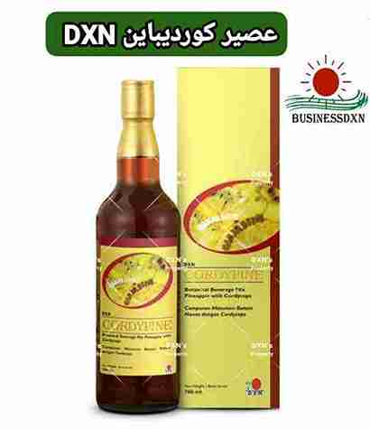 كوردي باين DXN