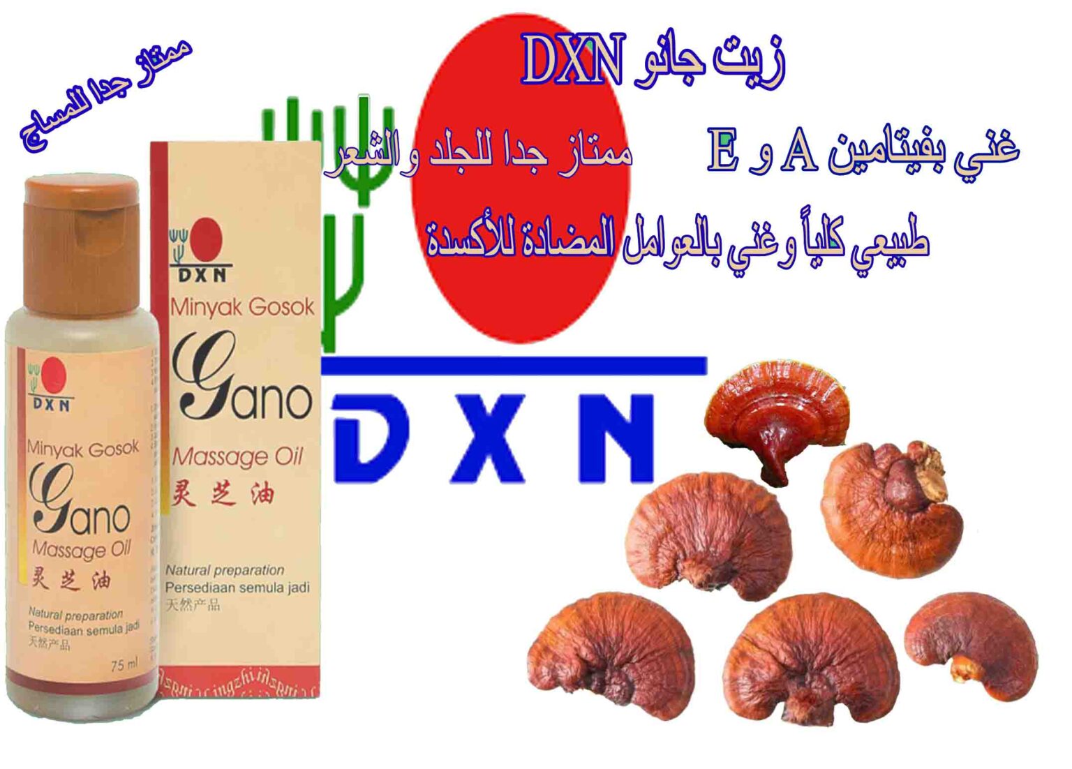 زيت جانو DXN [افضل زيت للتدليك] - Business Dxn