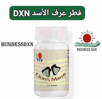 فطر عرف الاسد DXN صديق الجهاز الهضمي والعصبي
