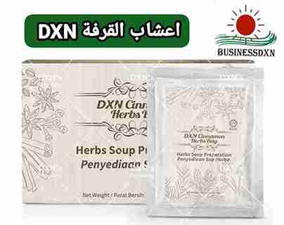 أعشاب القرفة DXN