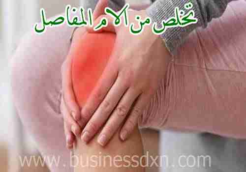 فطر شيتاكي DXN