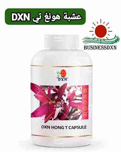 هونغ تي DXN