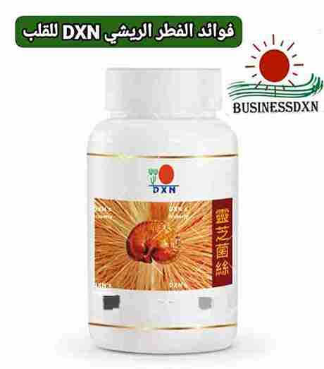 فوائد الفطر الريشي DXN للقلب